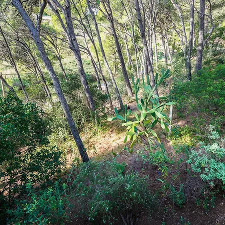Tamariu Montagut Domain Villa Palafrugell